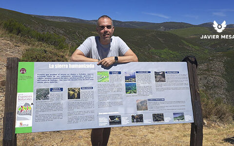 Aprender a ser consciente, agradecido y conectar