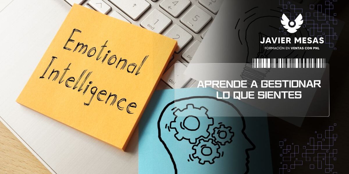 Inteligencia emocional: gestiona lo que sientes