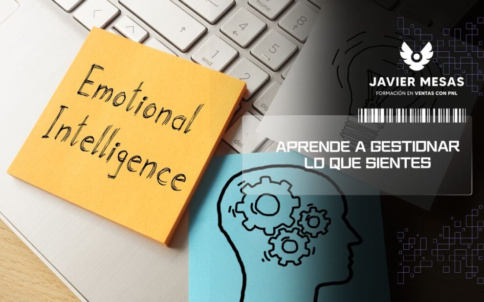 Inteligencia emocional: gestiona lo que sientes