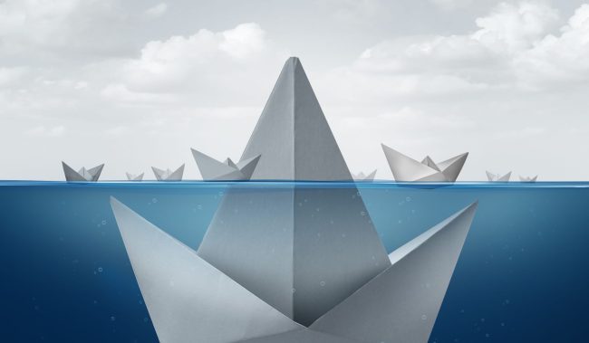 Desde la ignorancia nace el verdadero avance